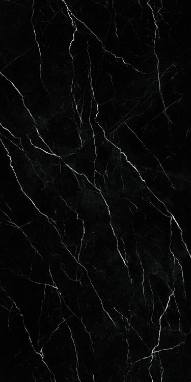 Nero Marquina-ブラック マルキーナ クォーツ
