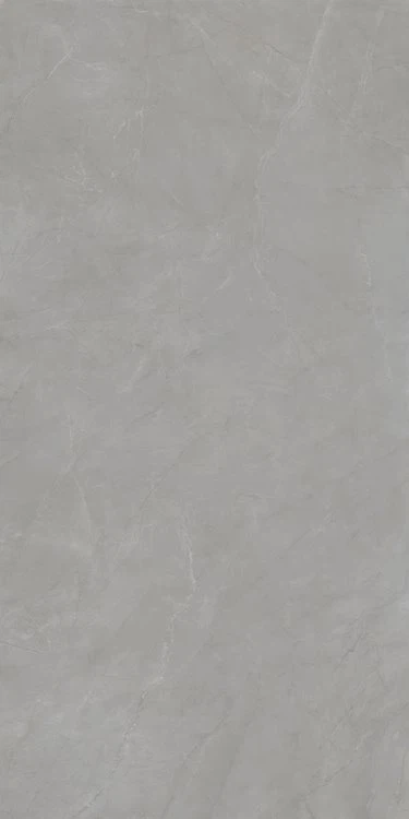 シャワー壁用パルピスグレーラージ陶器スラブ