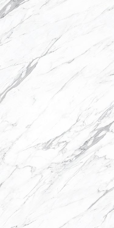 スタトゥアリオ磁器大理石タイル